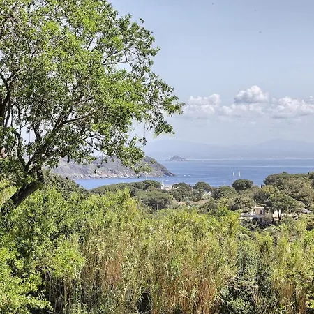 Alex Capoliveri (Isola d'Elba)